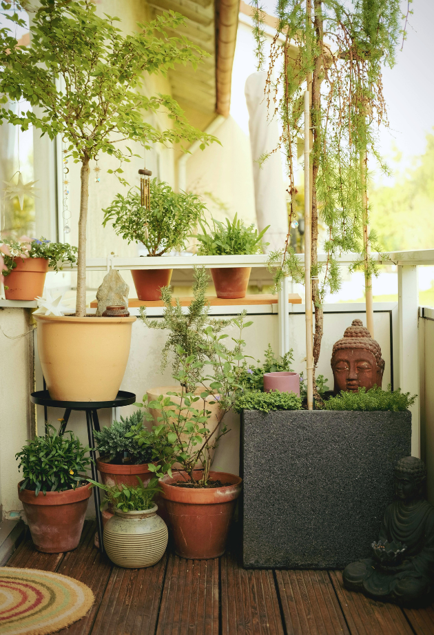 Balcony garden